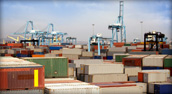 FDA Import Alerts