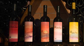 FDA Label Review