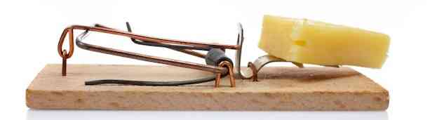 Mousetrap with Cheese