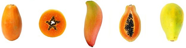 papaya-imports-salmonella