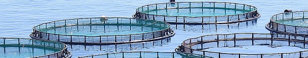 fish-farm-crop