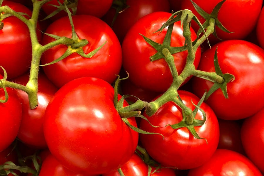 Possible Resolution of Antidumping Duties on Mexican Tomatoes