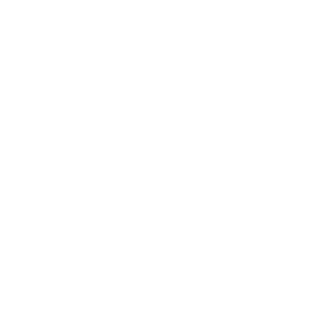 FDA-Imports-Logo---WHITE